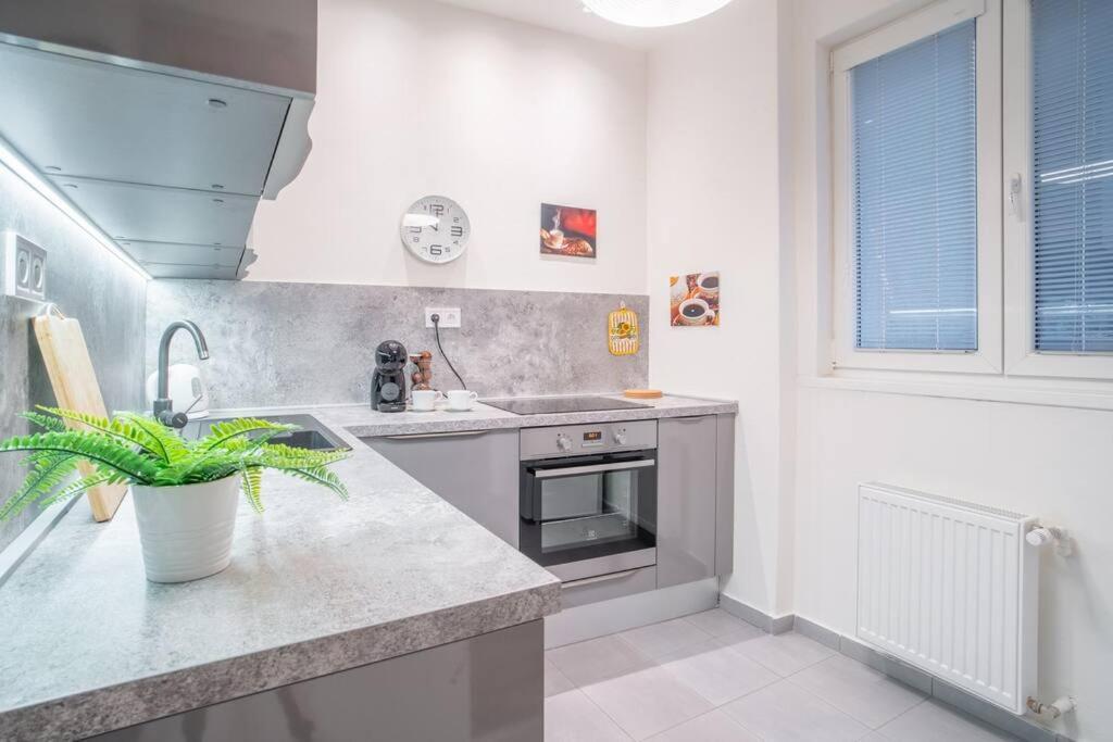 Sukromny Staromestsky Apartman V Uzasnej Lokalite/Cozy Old-Town Apartment In A Great Neighborhood Μπρατισλάβα Εξωτερικό φωτογραφία